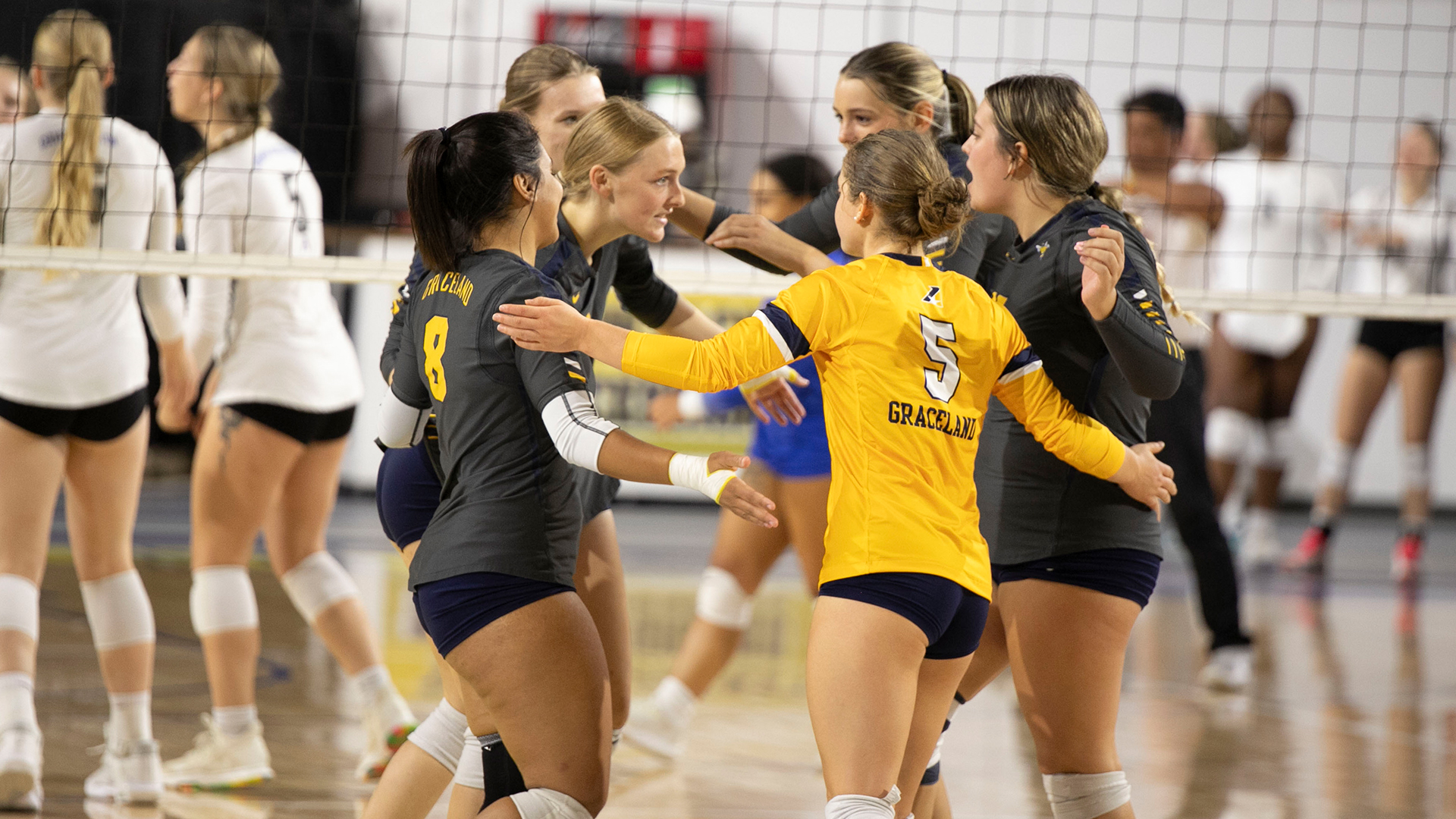 Women's Volleyball Taken Down by Pioneers